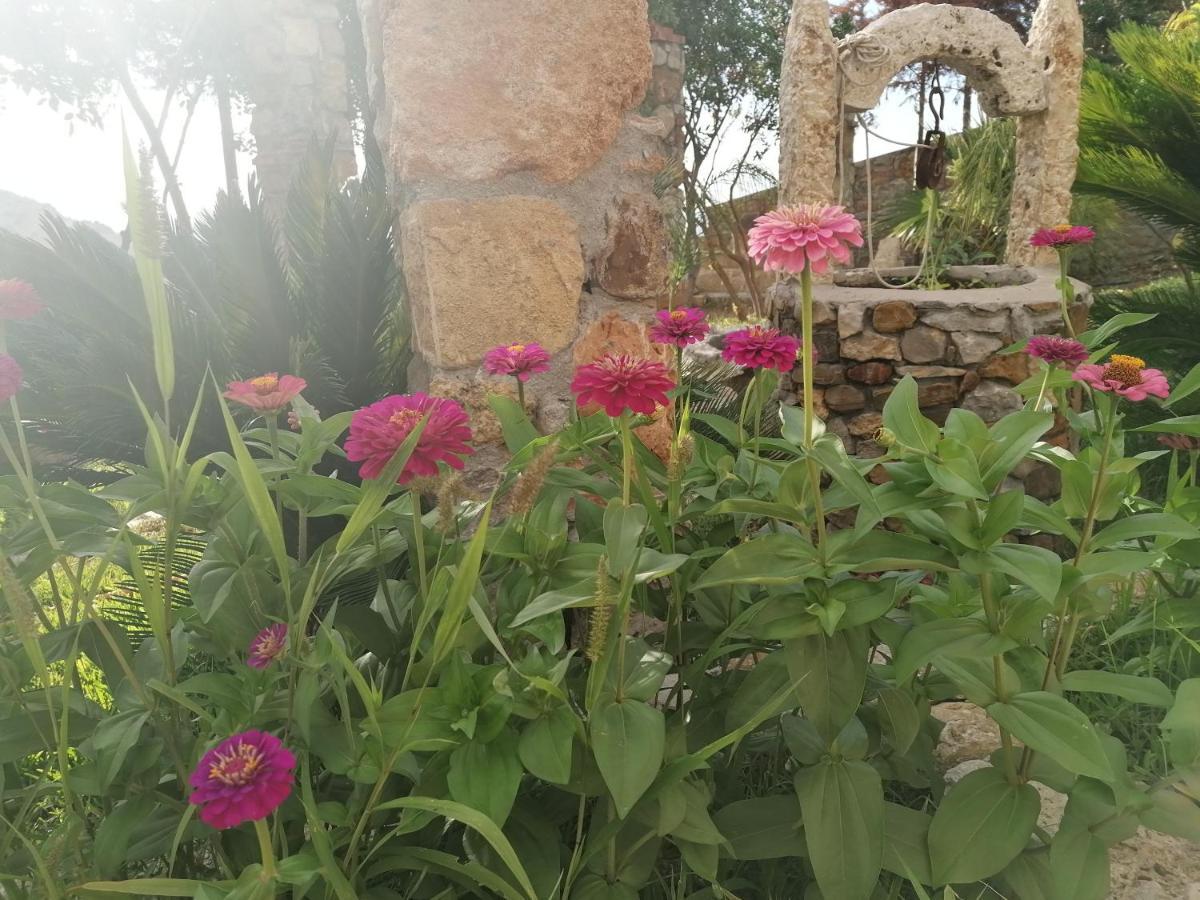 Villa Nonna Nina Capaci Dış mekan fotoğraf