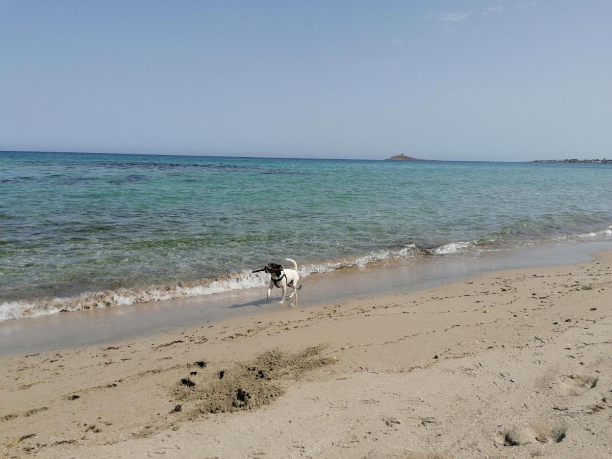 Villa Nonna Nina Capaci Dış mekan fotoğraf