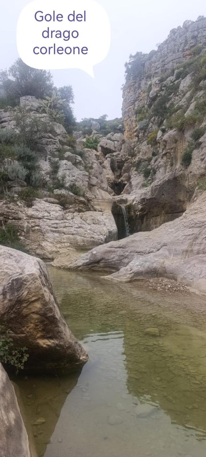 Villa Nonna Nina Capaci Dış mekan fotoğraf